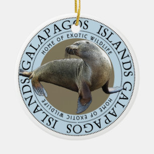 Décoration En Céramique Galapagos Îles Mer Lion Noël