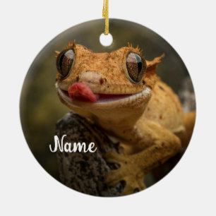 Décoration En Céramique Gecko Lizard Personnalisé