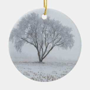 Décoration En Céramique Gel sur un arbre solitaire