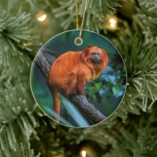 Décoration En Céramique Golden Lion Tamarin