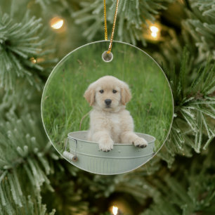 Décoration En Céramique Golden Retriever