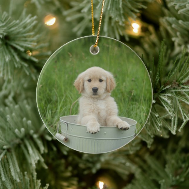 Décoration En Céramique Golden Retriever (Arbre)