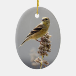 Décoration En Céramique Goldfinch