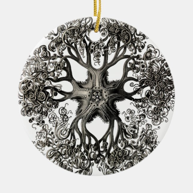 Décoration En Céramique Gorgonocephalidae d'Ernst Haeckel (Devant)