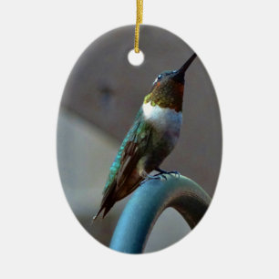 Décoration En Céramique Green ruby little hummingbird