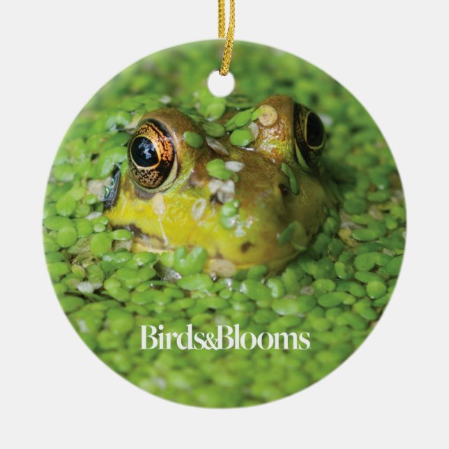 Décoration En Céramique Grenouille dans les algues vertes (Devant)