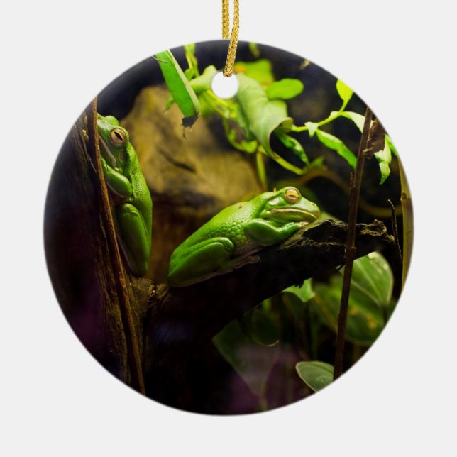 Décoration En Céramique Grenouilles dans un arbre (Devant)