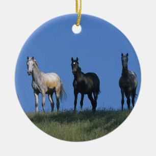 Décoration En Céramique Groupe d'Arabes