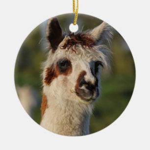 Décoration En Céramique Guardian Llama