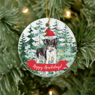 Décoration En Céramique Happy Howlidays Stabyhoun Dog