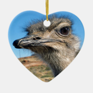 Décoration En Céramique Harry the Happy Ostrich