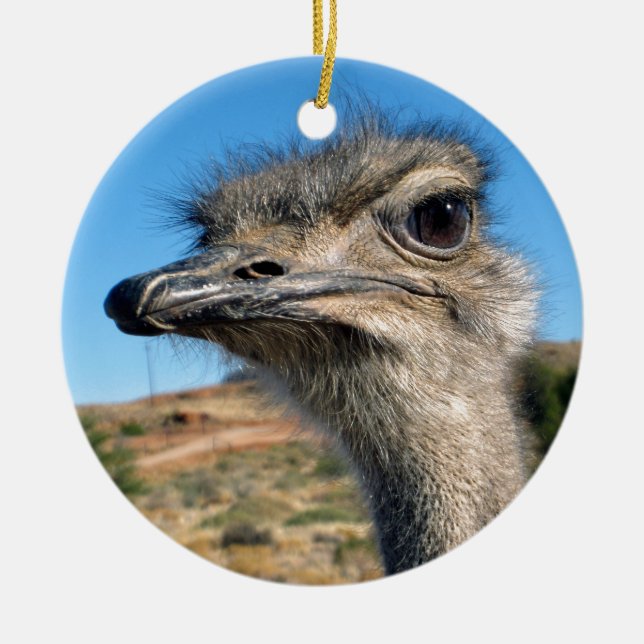 Décoration En Céramique Harry the Happy Ostrich (Devant)