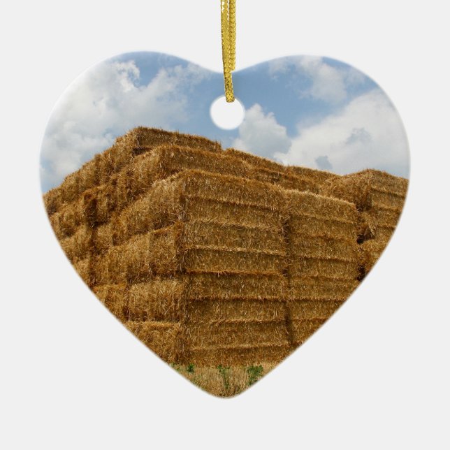 Décoration En Céramique HaY BaLE (Devant)