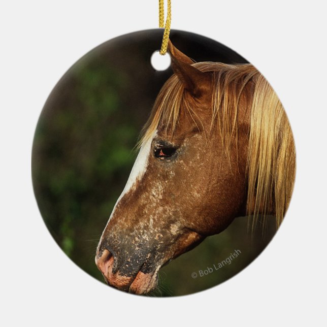Décoration En Céramique Headshot 1 de cheval d'Appaloosa (Devant)