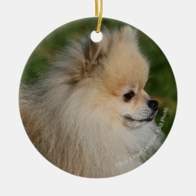 Décoration En Céramique Headshot 2 de Pomeranian (Devant)