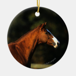 Décoration En Céramique Headshot de cheval de pur sang