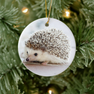 Décoration En Céramique Hedgehog