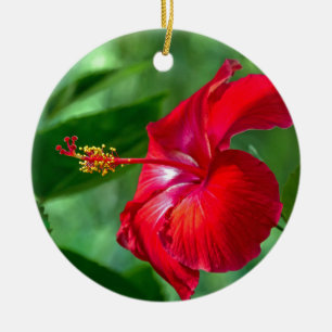 Décoration En Céramique Hibiscus Blossom