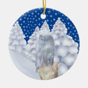 Décoration En Céramique Hibou dans la neige