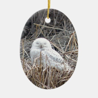 Décoration En Céramique hibou neigeux