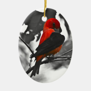 Décoration En Céramique Homme Scarlet Tanager