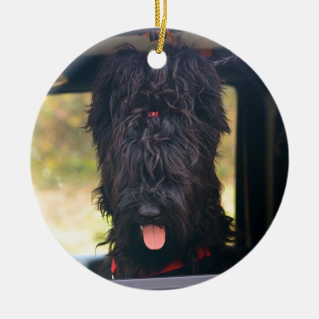 Décoration En Céramique I posséder cette jeep (Devant)