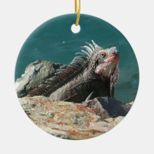 Décoration En Céramique Iguana à St Thomas