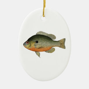 Décoration En Céramique Illustration colorée vintage de Sunfish