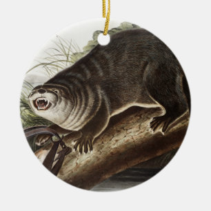 Décoration En Céramique Illustration de Canada Otter (Lutra Canadensis)