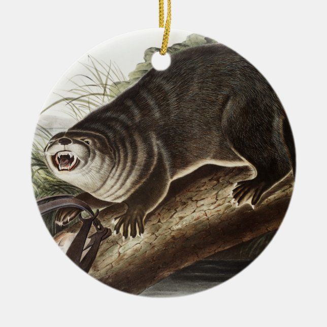 Décoration En Céramique Illustration de Canada Otter (Lutra Canadensis) (Devant)