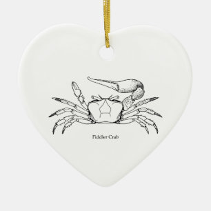 Décoration En Céramique Illustration de crabe de violoneur (schéma)