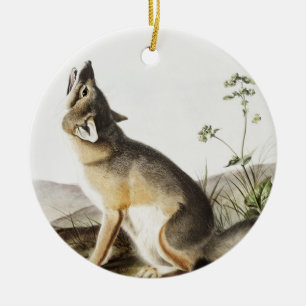 Décoration En Céramique Illustration de Fox (Vulpes velox)