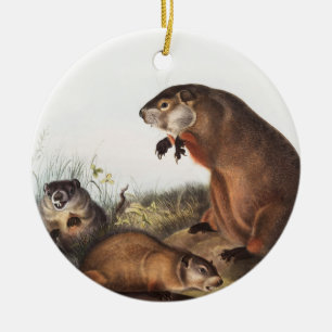 Décoration En Céramique Illustration de Woodchuck (Arctomys monax)