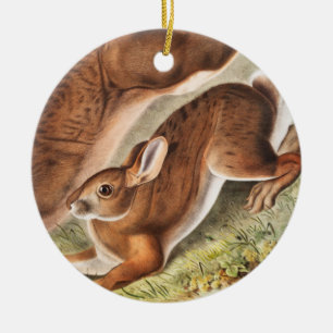 Décoration En Céramique Illustration du lièvre du Nord (Lepus Americanus)