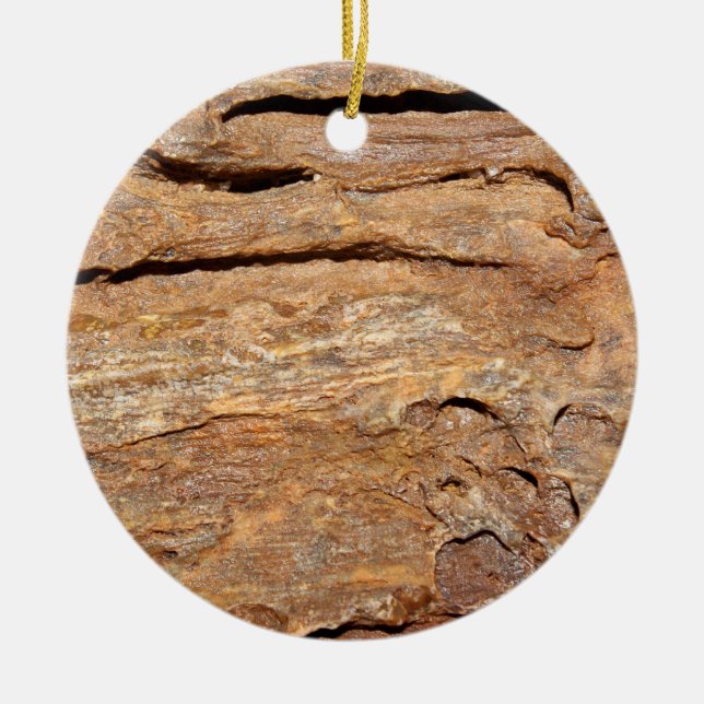 Décoration En Céramique Image de bois fossilisé (Devant)