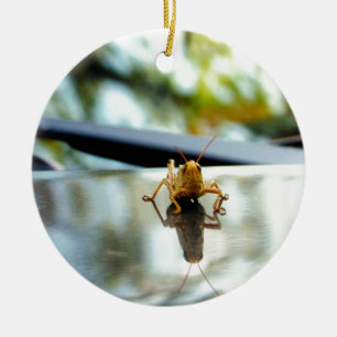 Décoration En Céramique impasse de sauterelle