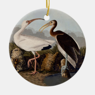 Décoration En Céramique Impression d'oiseau Ibis blanc de John James Audub
