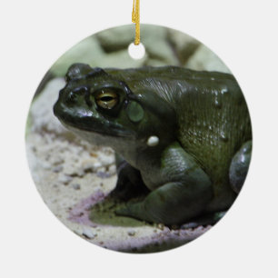 Décoration En Céramique Incilius alvarius