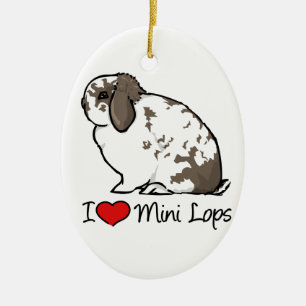 Décoration En Céramique J'aime de mini lapins de Lop
