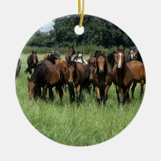 Décoration En Céramique Jeunes de pur sang (Devant)