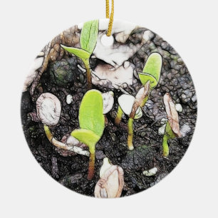 Décoration En Céramique Jeunes plantes nouvellement poussées