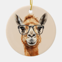 Joli chameau avec lunettes