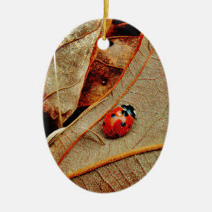 Décoration En Céramique joli Ladybug personnalisation personnalisation nom