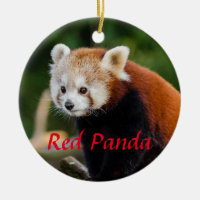 Joli Panda roux Firefox