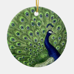 Décoration En Céramique Joli Peacock