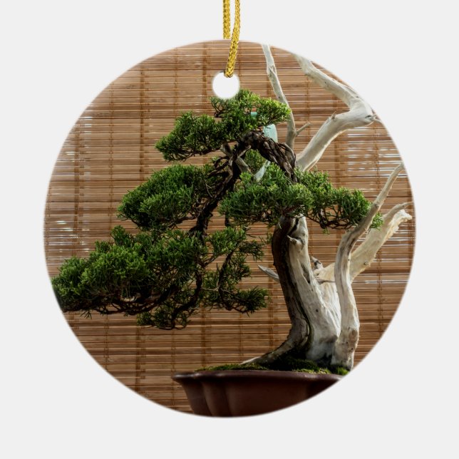Décoration En Céramique Juniper chinois Bonsai Tree Photo (Devant)