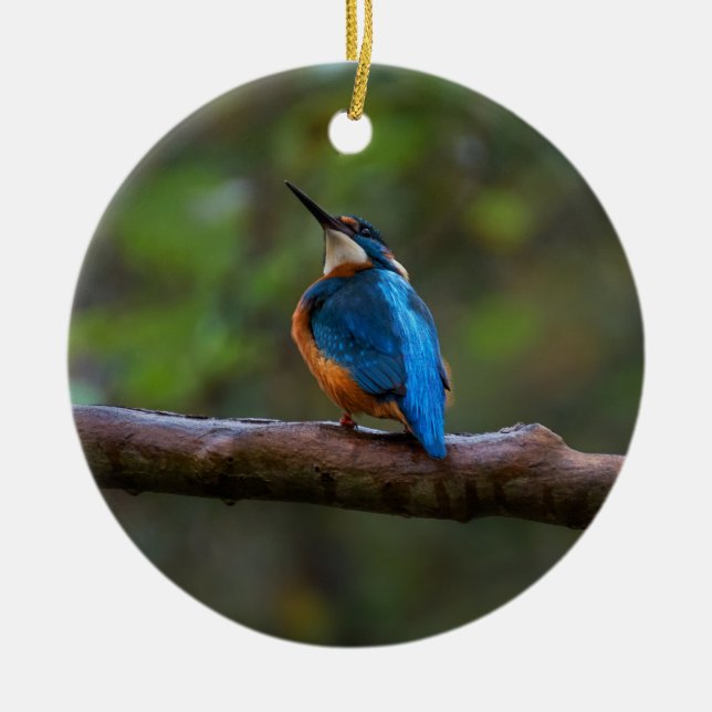 Décoration En Céramique Kingfisher sur une succursale (Devant)