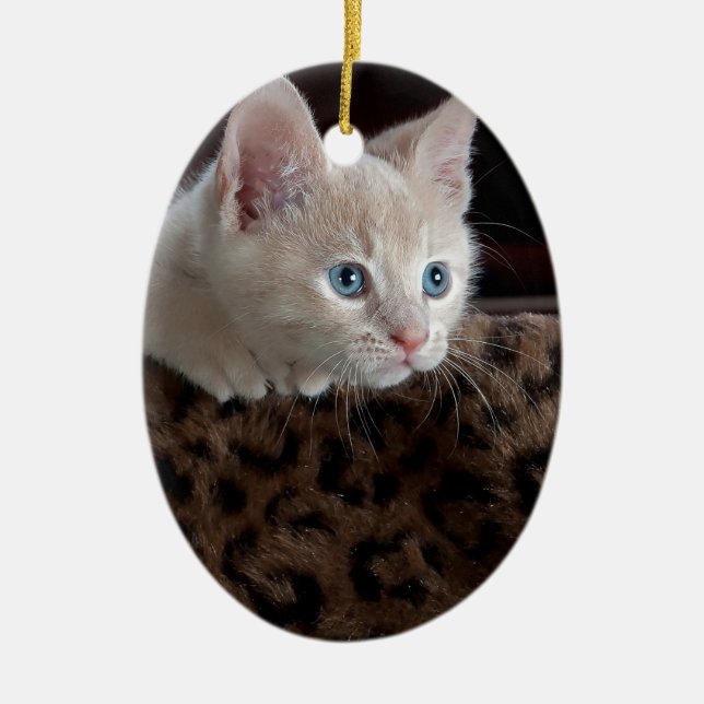 Décoration En Céramique Kitten crème avec de beaux yeux bleus (Devant)
