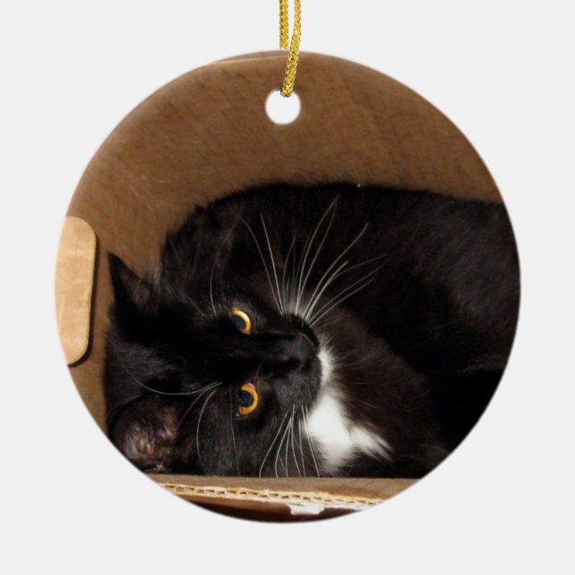 Décoration En Céramique Kitty dans une boîte - photographie (Devant)
