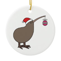 Kiwi de Noël